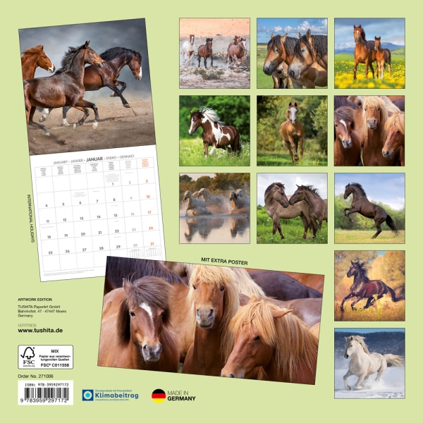 Kalender 2027Pferde