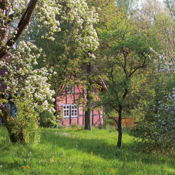 Kalender 2027Bauerngarten