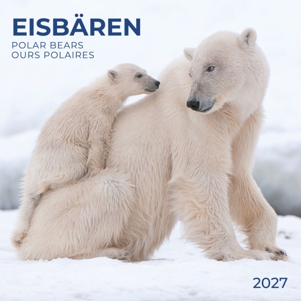 Kalender 2027Eisbären