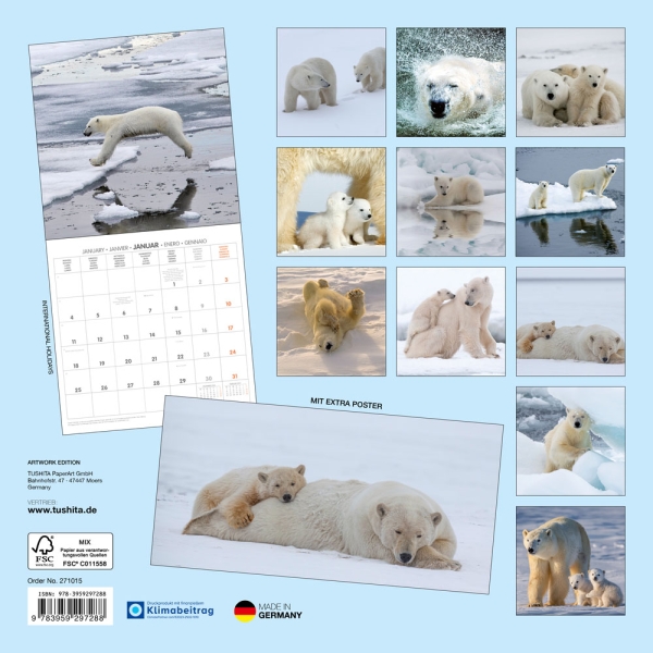 Kalender 2027Eisbären