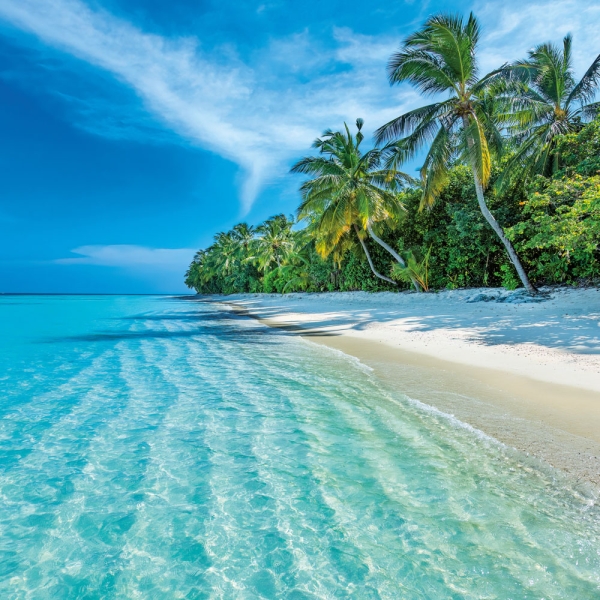 Kalender 2027Strand und Meer