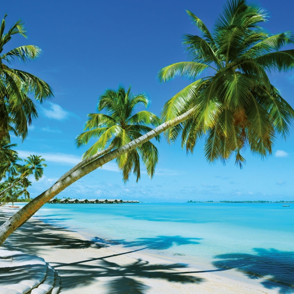 Kalender 2027Strand und Meer