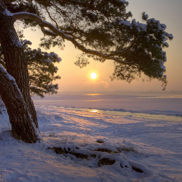Kalender 2027Die Sonne geht auf