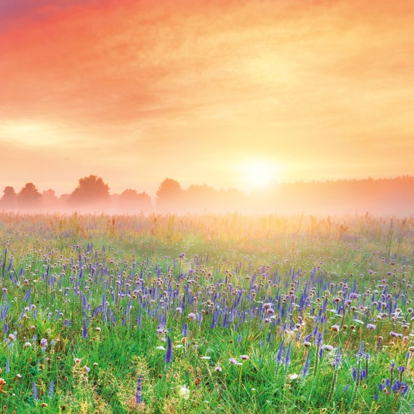 Kalender 2027Die Sonne geht auf