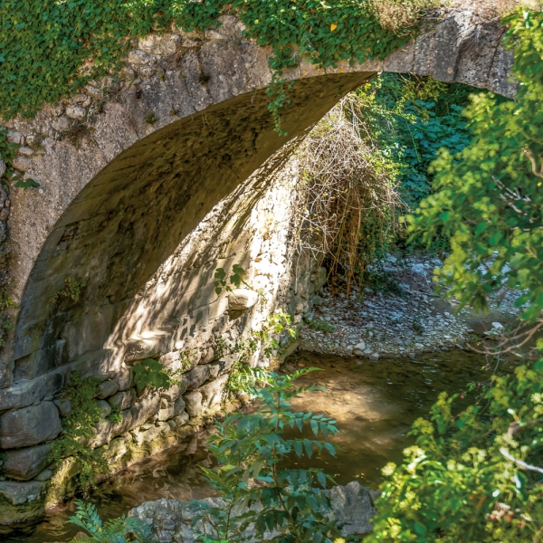 Kalender 2027Unser Wald