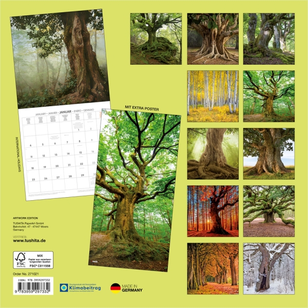 Kalender 2027Die Kraft der Bäume