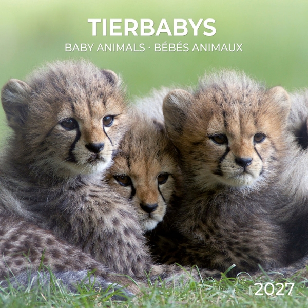 Kalender 2027Tierbabys