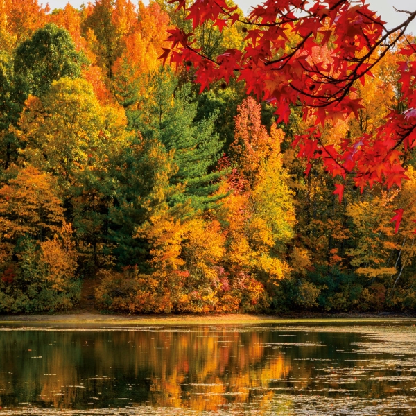 Kalender 2027Emotion