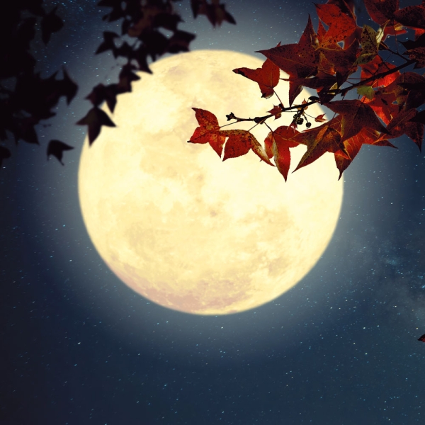 Kalender 2027Emotion