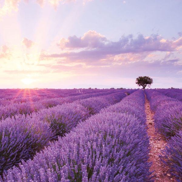 Kalender 2027Emotion