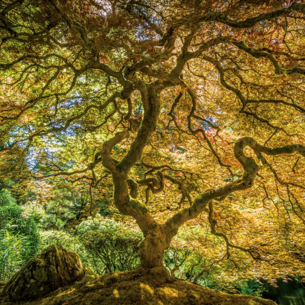 Kalender 2027Emotion