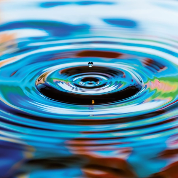 Kalender 2027Emotion