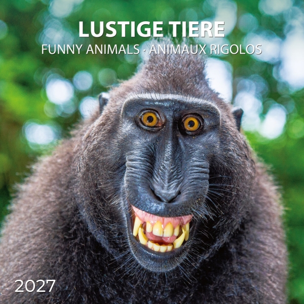 Kalender 2027Lustige Tiere