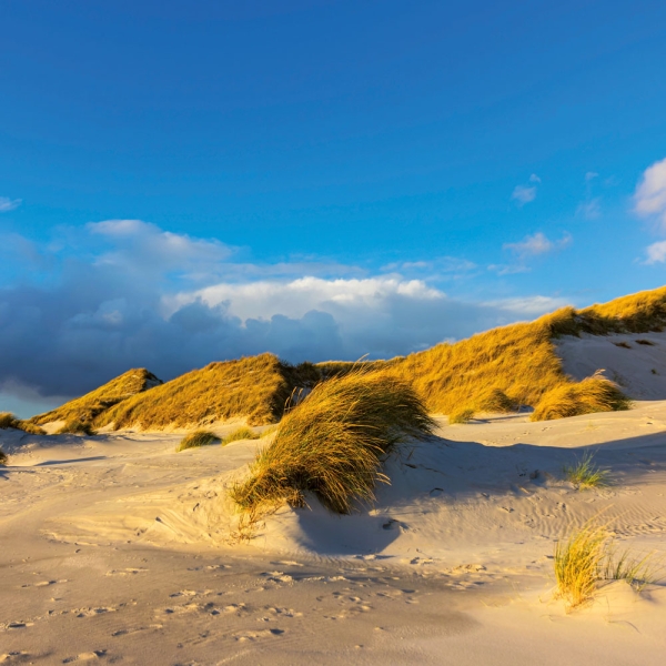 Kalender 2027Nordsee