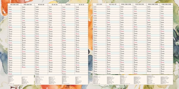 Kalender 2027Organizer / Familienplaner