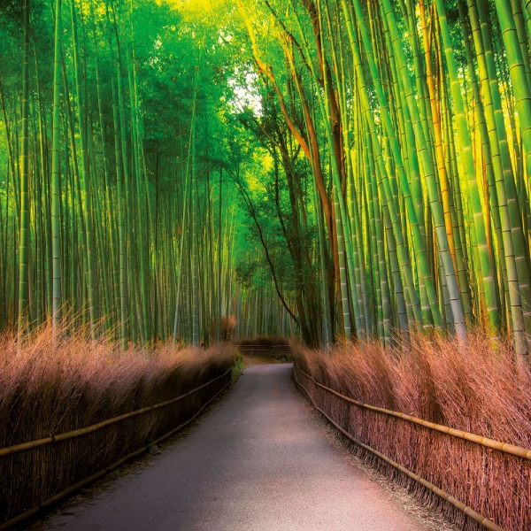 Calendar 2027Inside Japan