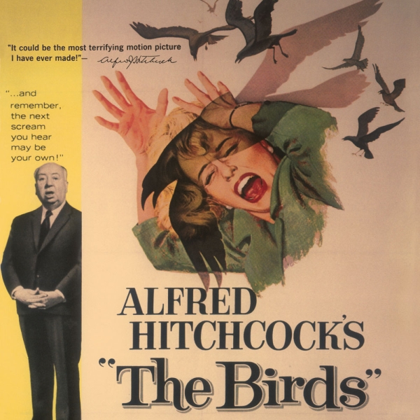 Kalender 2027Cinema Noir