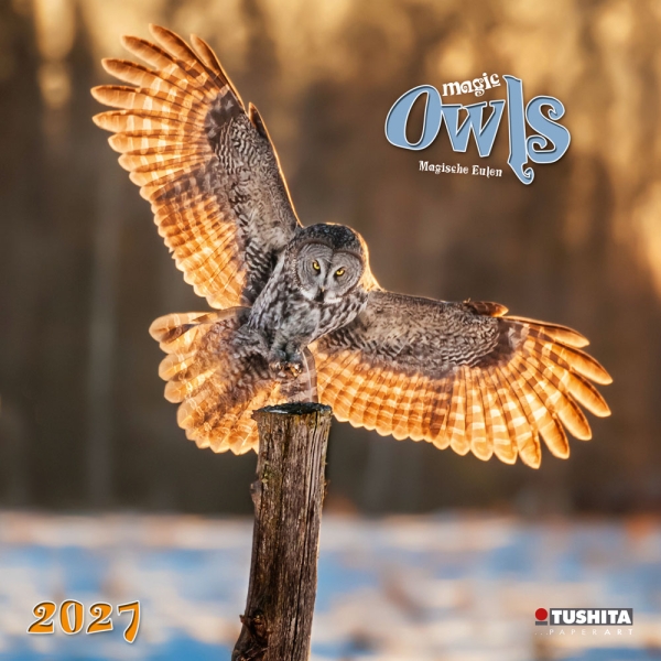 Kalender 2027Magic Owls