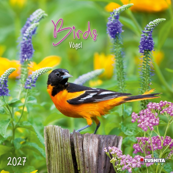 Kalender 2027Birds