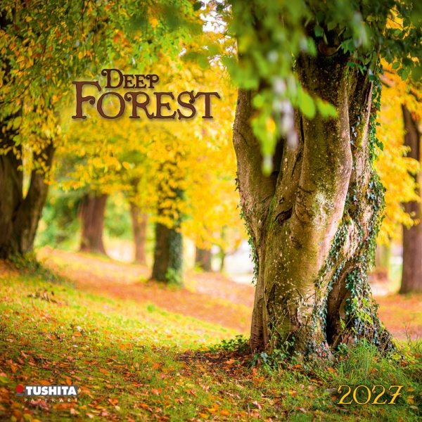 Kalender 2027Deep Forest