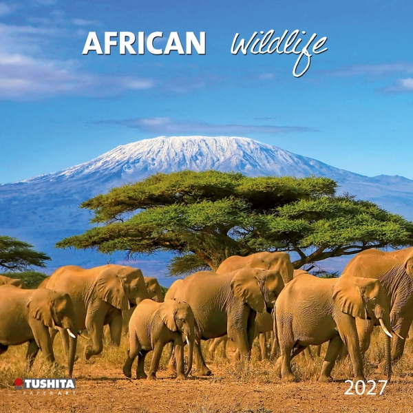 Kalender 2027African Wildlife