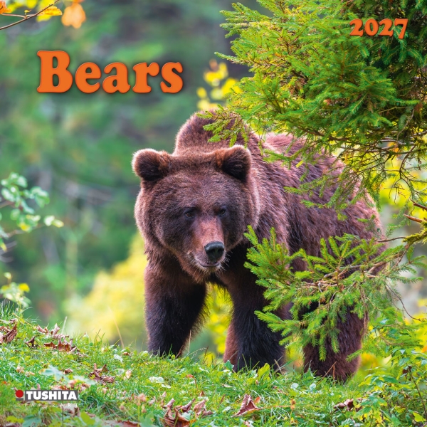 Kalender 2027Bears