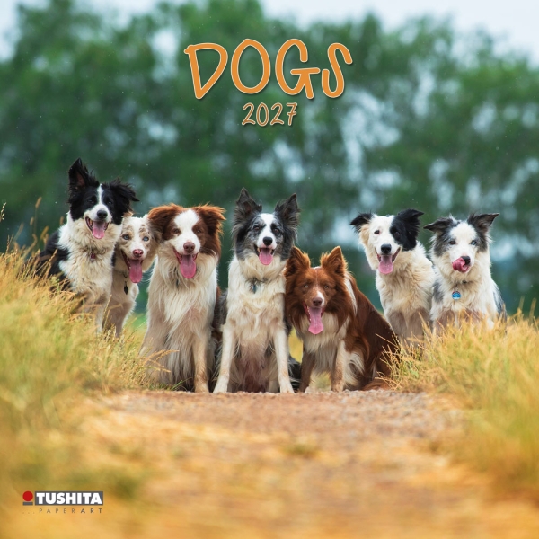 Kalender 2027Dogs