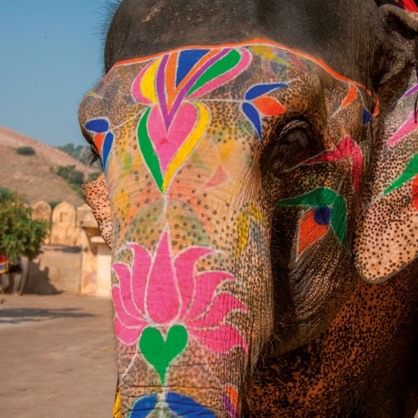 Kalender 2027Colours of India