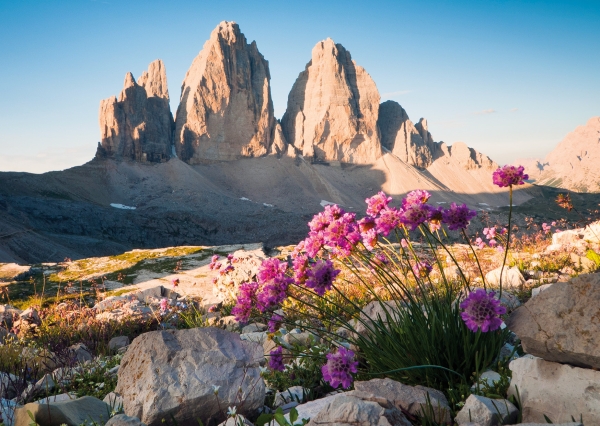Postkarte – Drei Zinnen, Sextner Dolomiten