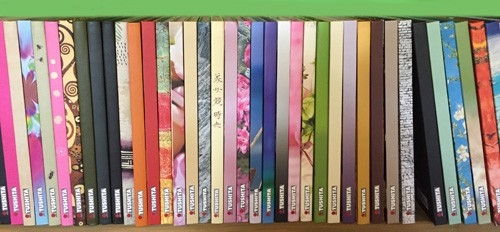 Blankbook – Frida Kahlo, Ich und meine Papageien (B-Ware)