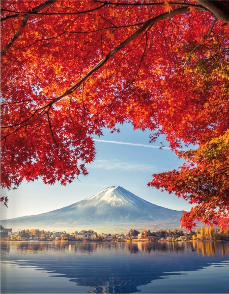 Blankbook - Japan
