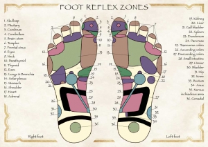 Foot Reflex Zones