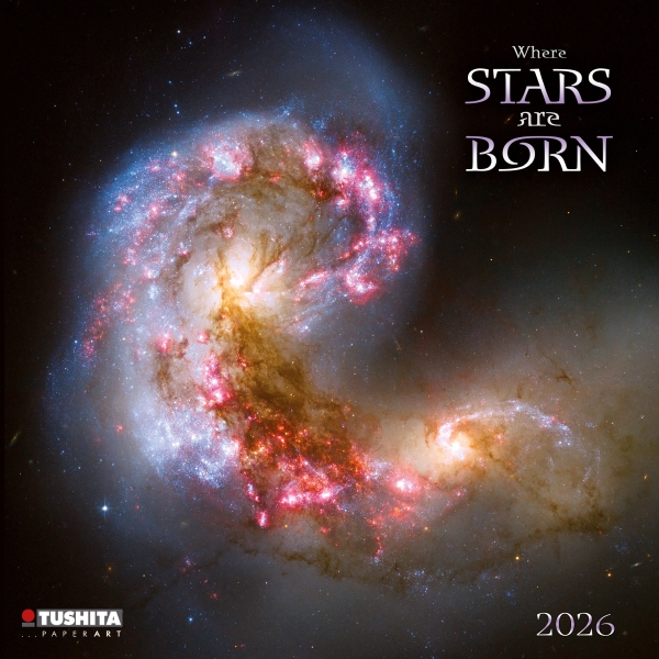 Kalender 2026Where Stars are Born(Vorverkauf)