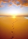 Postkarte - Footsteps in the sand