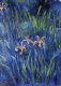 Postkarte Claude Monet - Irises