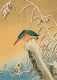 Postkarte Ohara Koson - Kingfisher