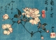 Postkarte Hiroshige - Kirschblüten