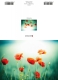 Klappkarte – Red Poppy