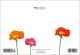 Klappkarte – bunter Mohn