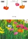 Klappkarte – bunter Mohn