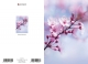 Klappkarte – Cherry Blossoms