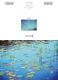 Klappkarte – Lily Pads