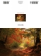 Klappkarte – Autumn Forest