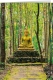 Klappkarte – Forest Buddha