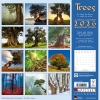 Kalender 2026Trees