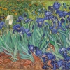 Kalender 2026van Gogh - From Vincents Garden