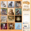 Kalender 2026Magic Owls