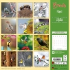 Kalender 2026Birds