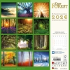 Kalender 2026Deep Forest