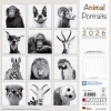 Kalender 2026Animal Portraits